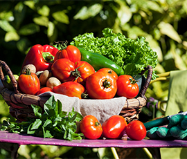 Vegetable Production
